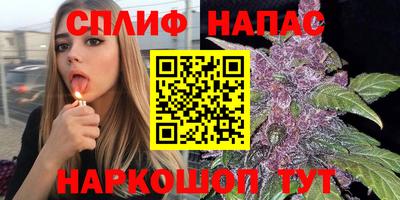 mdpv Будённовск
