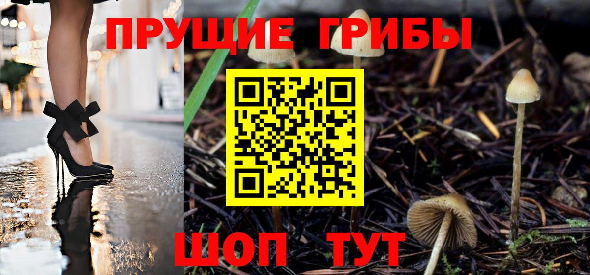 Псилоцибиновые грибы мухоморы Сергиев Посад